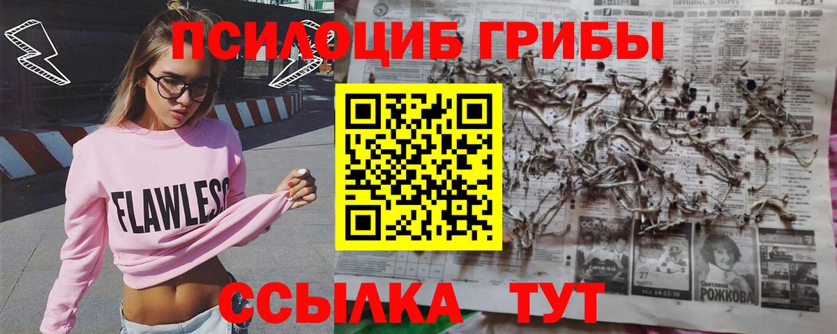 Галлюциногенные грибы Cubensis Семёнов